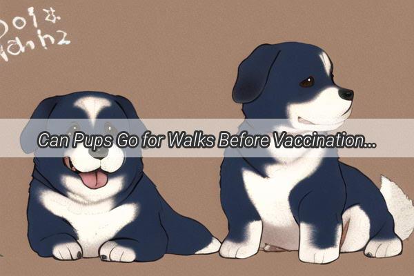 Can Pups Go for Walks Before Vaccinations Unveiling the Truth for Safe Strolls